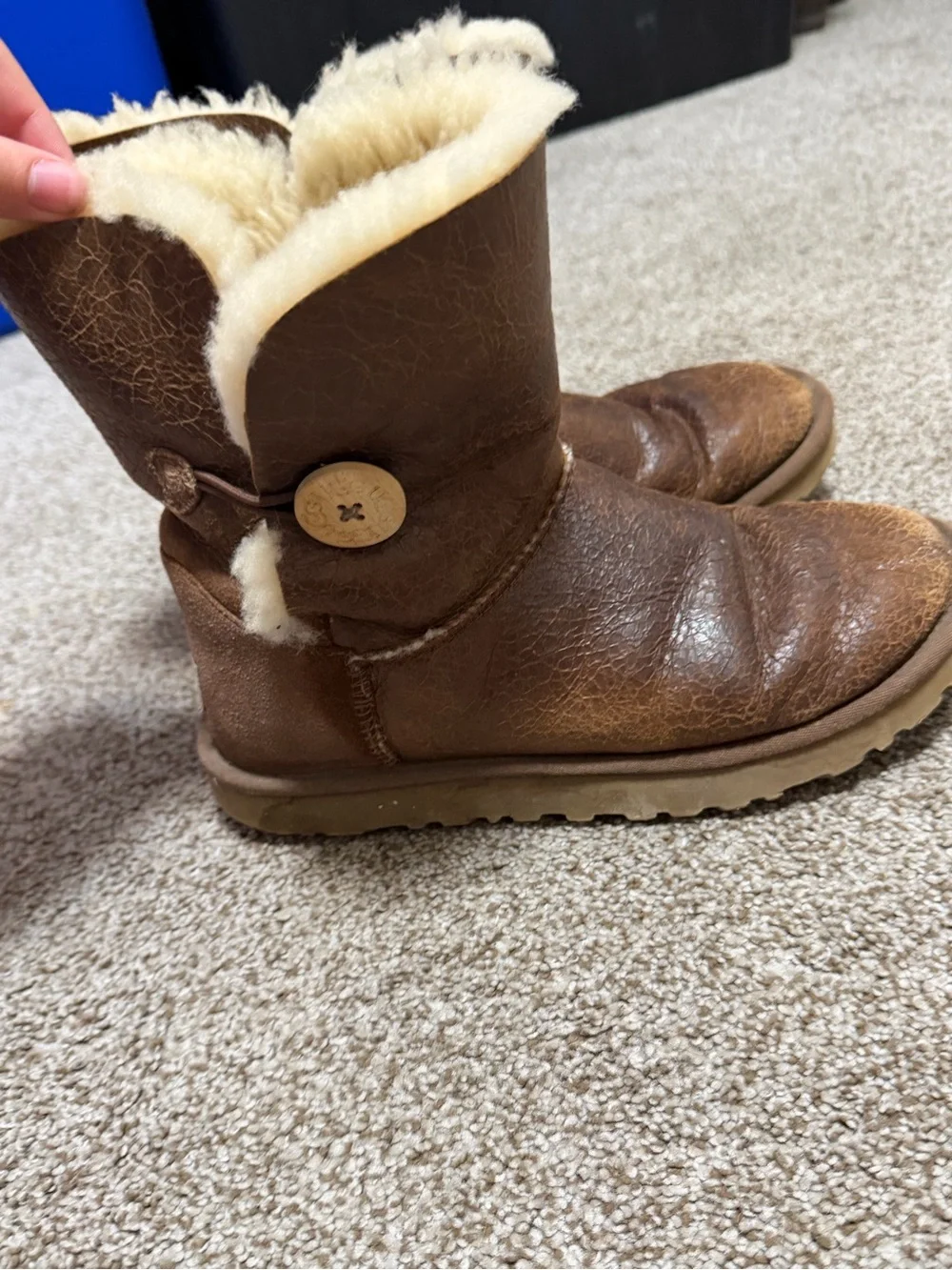 UGG Chestnut Shearling Short Boots